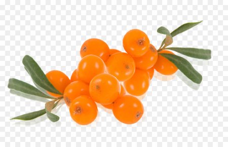 Sea-Buckthorn гроздь