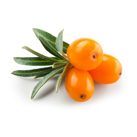 Sea Buckthorn Berries