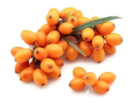 Sea Buckthorn Berries