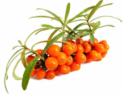 Sea-Buckthorn гроздь