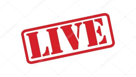 Live вектор
