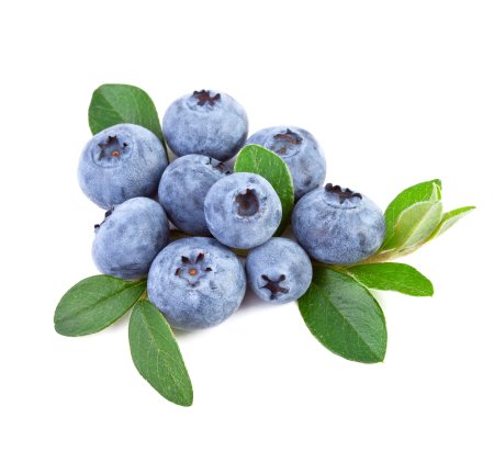 88824 Blueberry