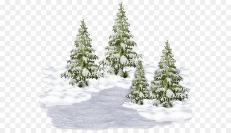 Елочка в снегу на прозрачном фоне