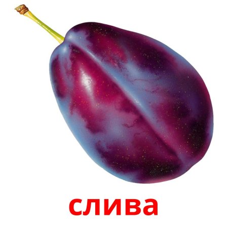 Карточки фрукты слива
