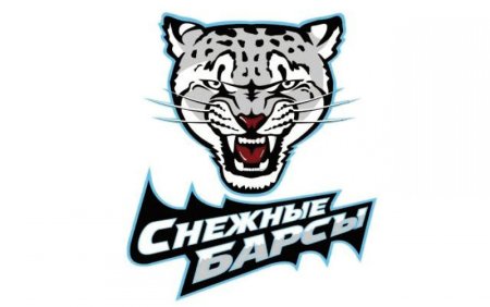 Хк Барыс альтернативная форма