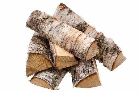 Березовое полено