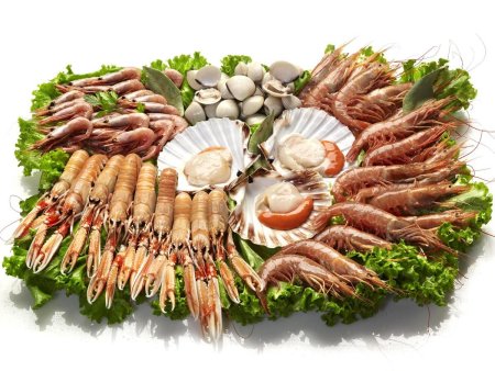 Морепродукты на прозрачном фоне