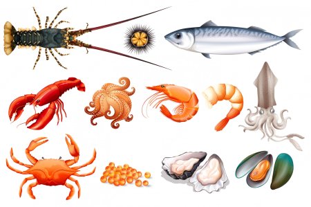 Морепродукты для детей