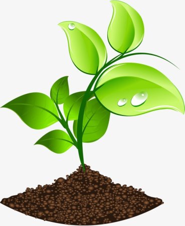 Растения в окружающей среде