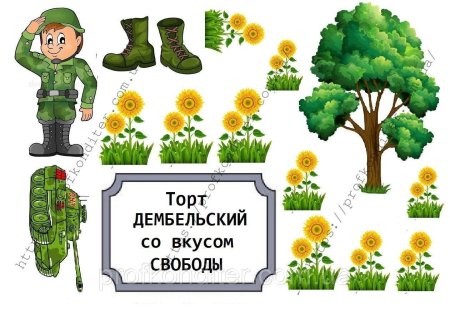 Камуфляжные шарики на прозрачном фоне