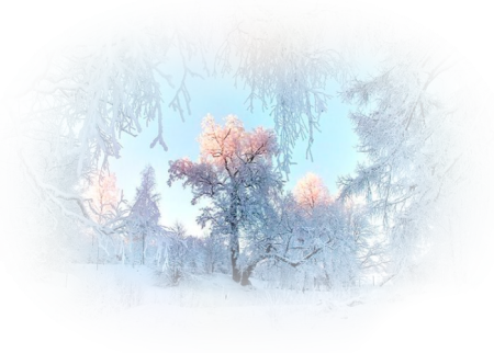 Зимний пейзаж на прозрачном фоне