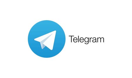 Чат бот телеграм