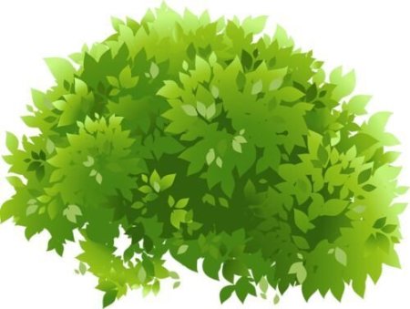 Куст для детей