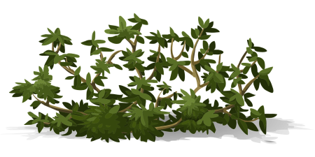 Куст вектор