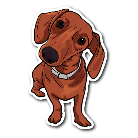 Dachshund Types vector