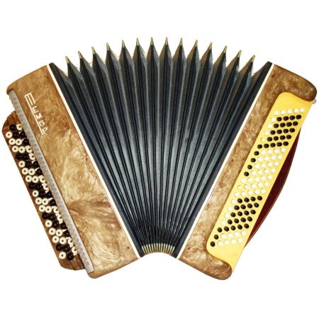 Castagnari Accordion