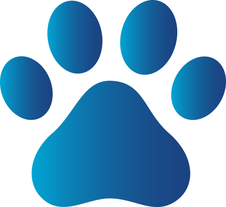 Paw Patrol лапки