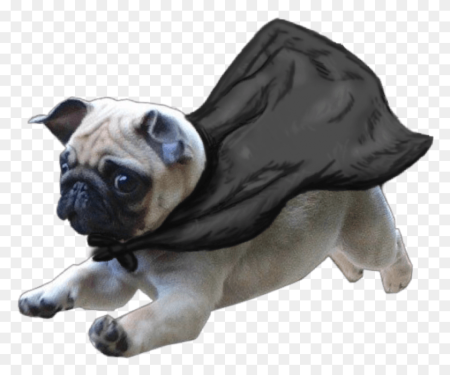 Мопс военный