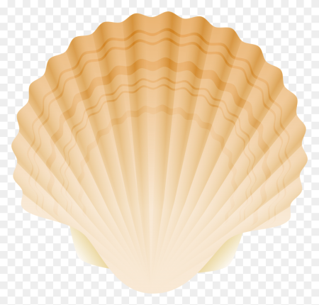 Морской гребешок Шелл