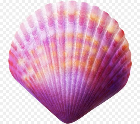 Розовая Ракушка