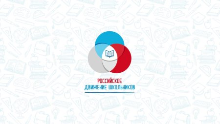 Баннер РДШ
