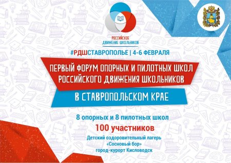 Картина РДШ