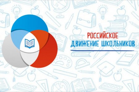 РДШ направления деятельности в школе