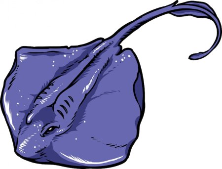 Мультяшные морские скаты