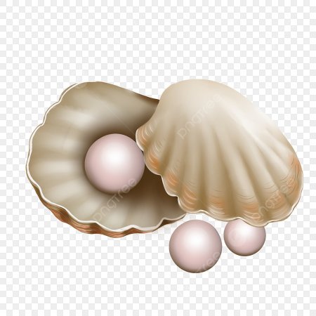 Ракушка с жемчужиной для детей
