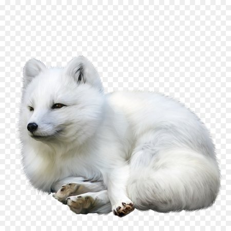 Песец для детей