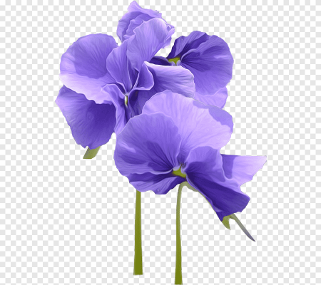 Фиалки для фотошопа