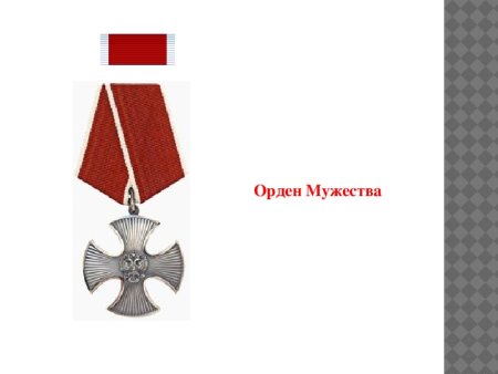 Орденская планка ордена Мужества