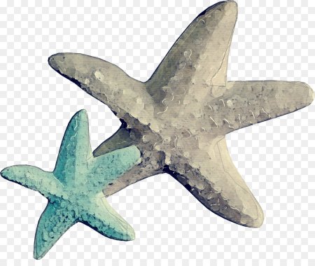 Морские элементы на прозрачном фоне