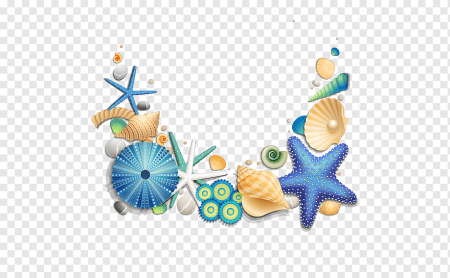 Морское на прозрачном фоне