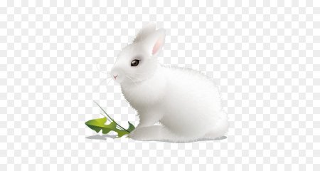 Зайчик белый для детей