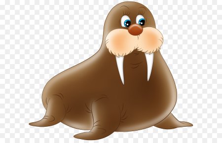 Морж для детей