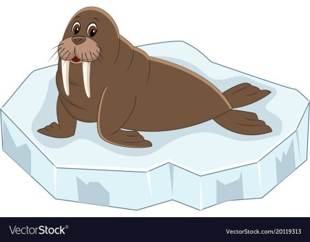 14803 Schleich морж