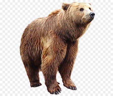 Бурый медведь