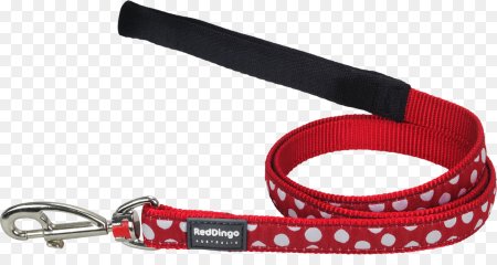 Red Dingo