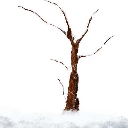 Зимние деревья