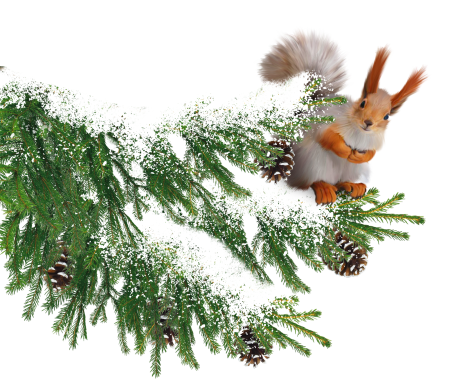 Новогодняя веточка