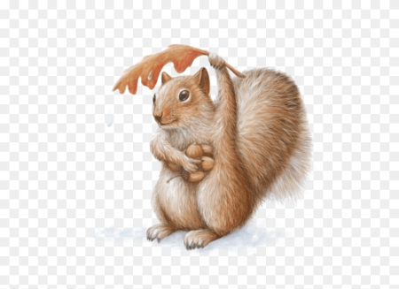 Watercolor animals Белочка PNG