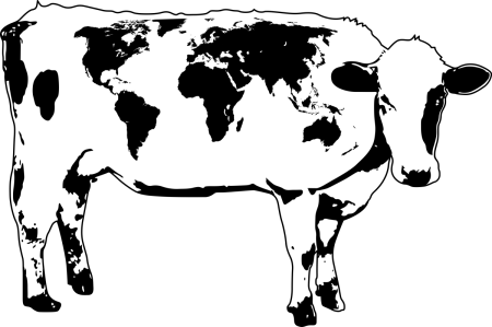 Корова черно белая