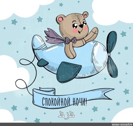 Мишка на самолете