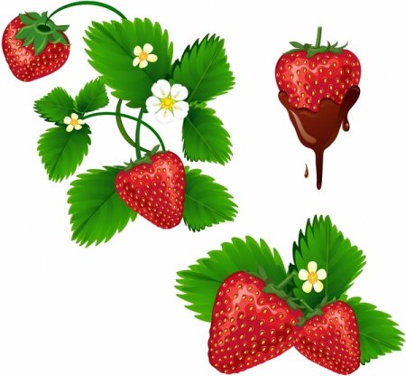 Куст клубники вектор