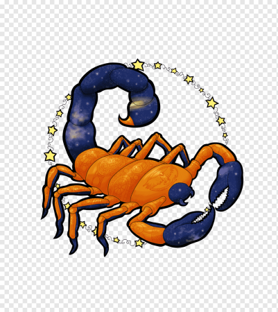 Скорпион на прозрачном фоне
