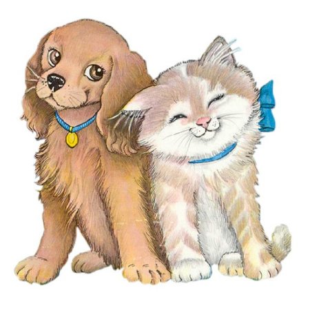 Кошка и собака без фона