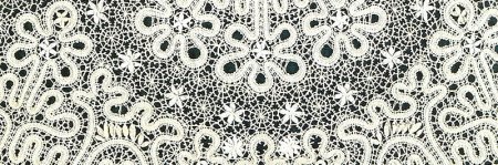 Вологодское кружево на прозрачном фоне