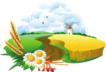 Поле иллюстрация