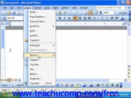 Microsoft Office Word 2003 DVD